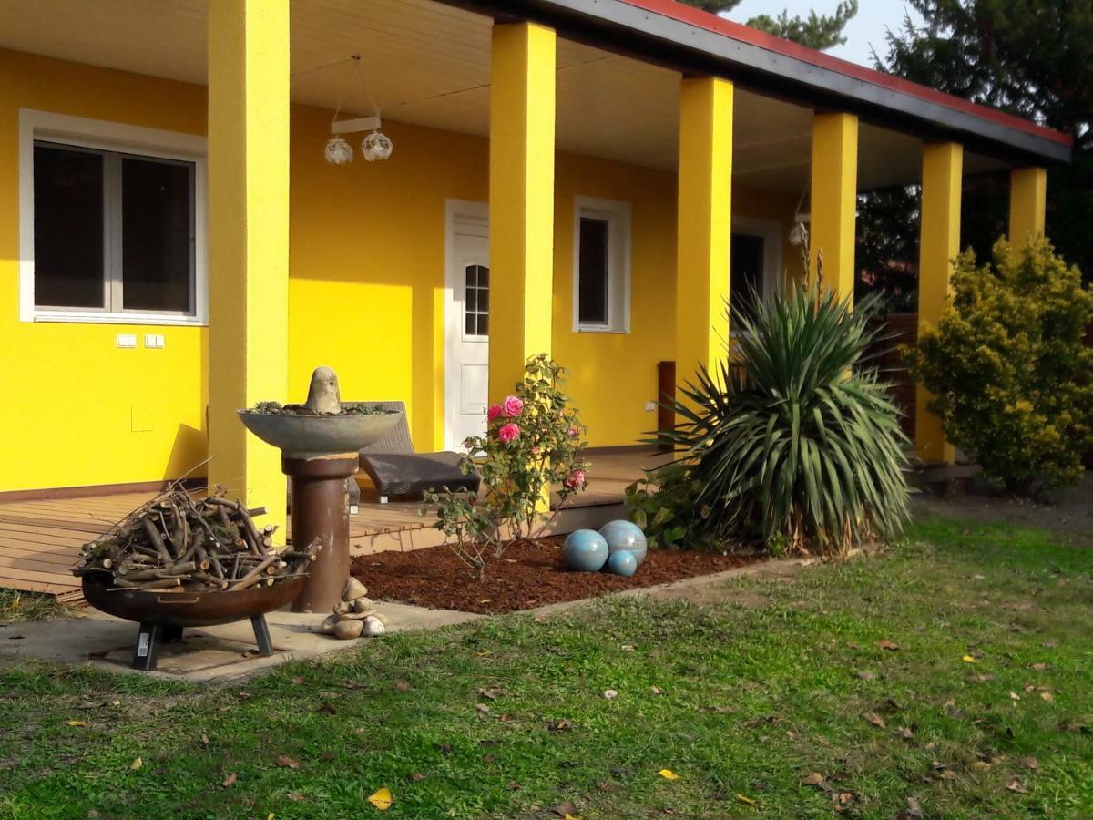 Bungalow At Lake Alte Donau Відень Екстер'єр фото